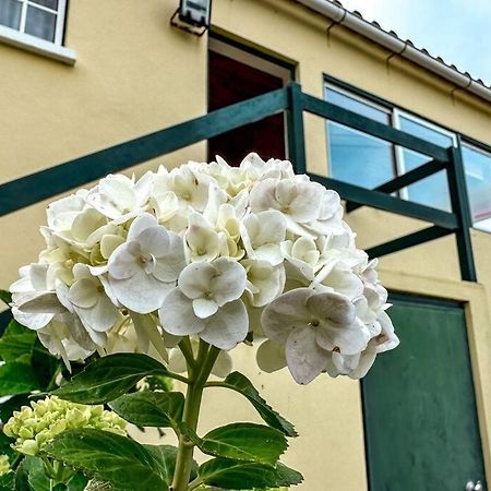 Luana House Apartment Biscoitos  Ngoại thất bức ảnh
