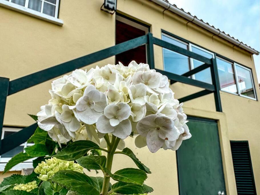 Luana House Apartment Biscoitos  Ngoại thất bức ảnh